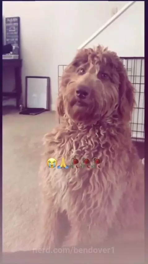 I dont trust him either by bendover1