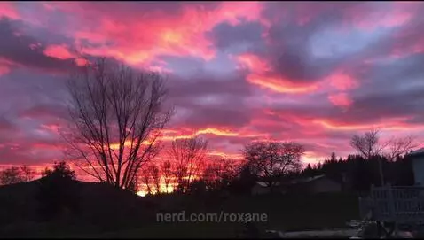 Sun view is beautiful by roxane