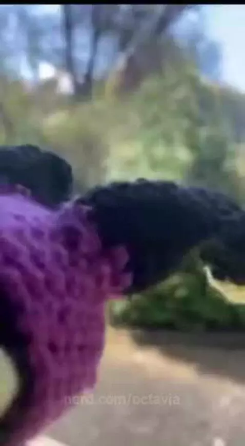 hazbinhotel by octavia