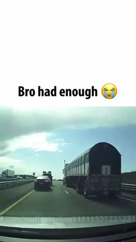 Bro had enough by mathisturling11111531231231123