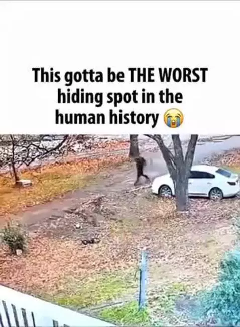 bro is bad at hiding by mathisturling11111531231231123