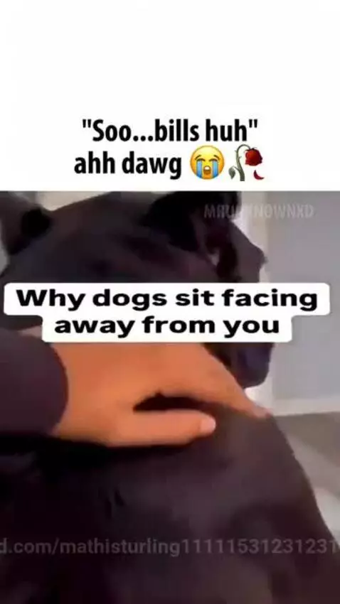 So bills, huh? by mathisturling11111531231231123