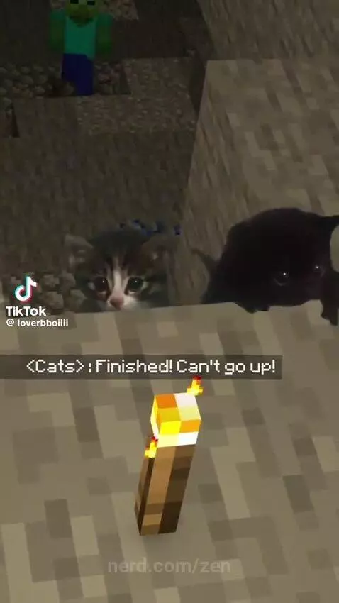 Video by zen