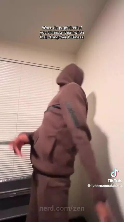 Video by zen