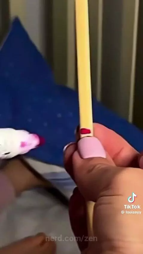 Video by zen
