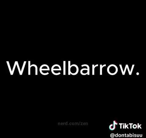 Video by zen