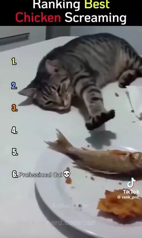 Video by zen