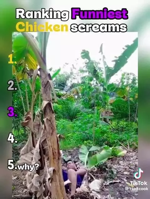 Video by zen
