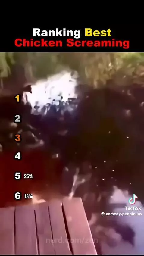 Video by zen