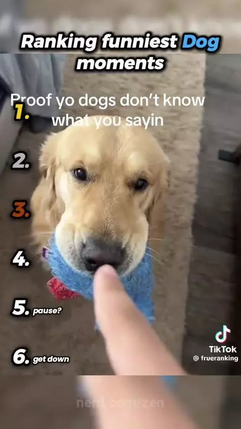 Video by zen