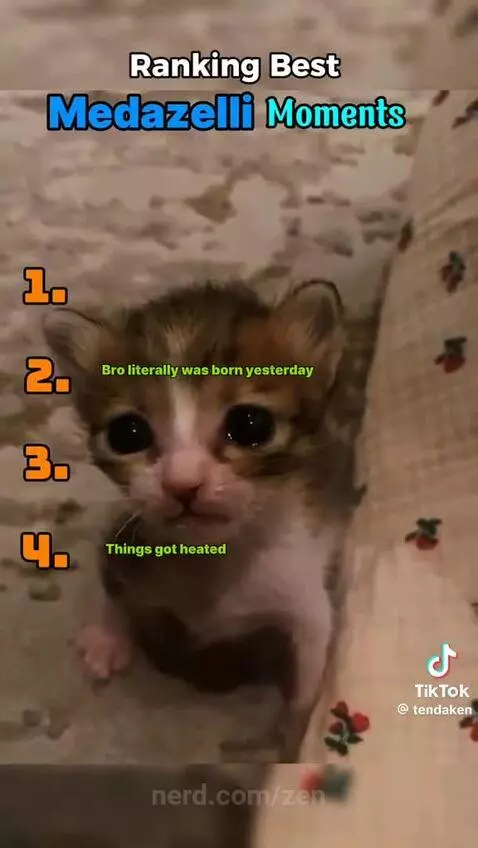 Video by zen