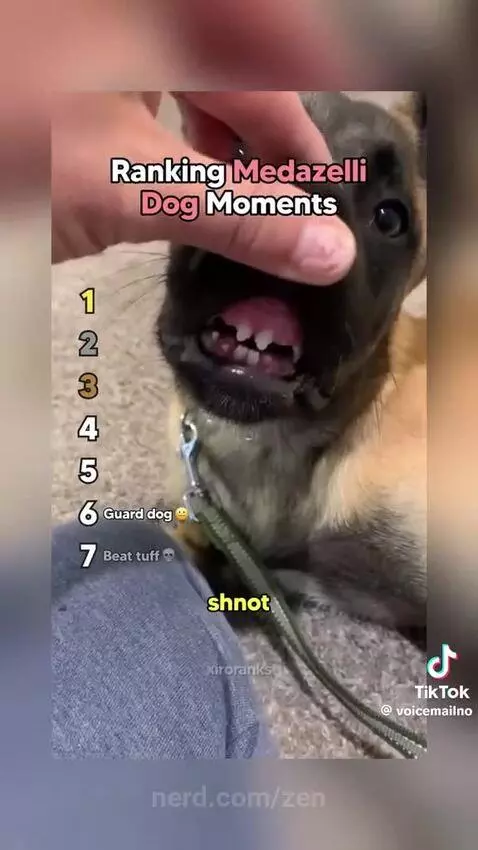 Video by zen