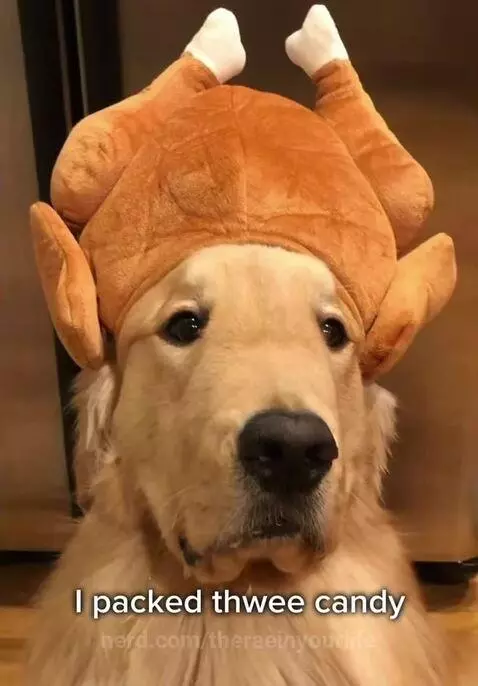 ..*IBIZA”. by theraeinyourlife