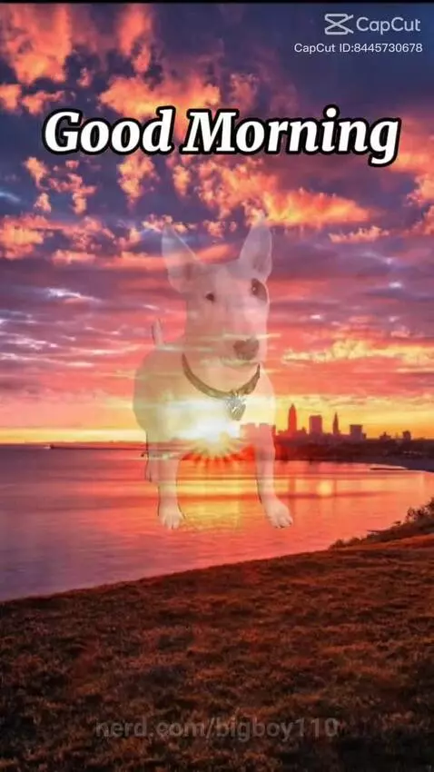 GOOD MORNING by bigboy110