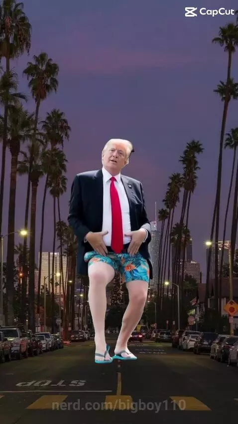 TRUMPPYYYY DUMPPYY by bigboy110