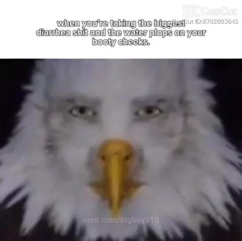 EHEHEHHEHEHHHEHEHHEHHHHH by bigboy110