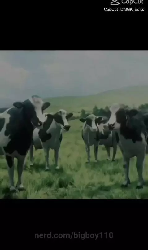 ZESTYYYYYYY by bigboy110