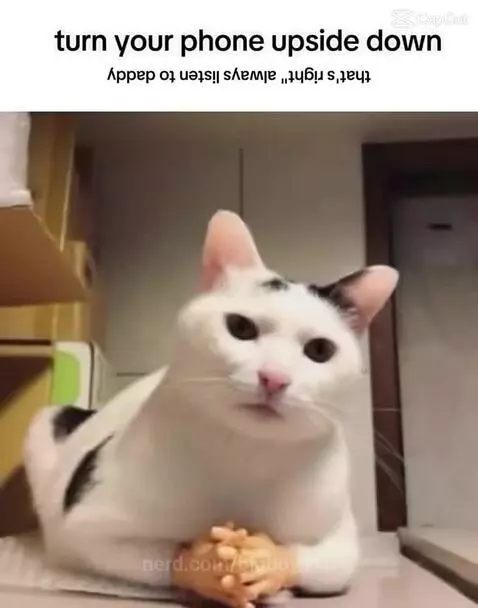 HAHHAHAA by bigboy110