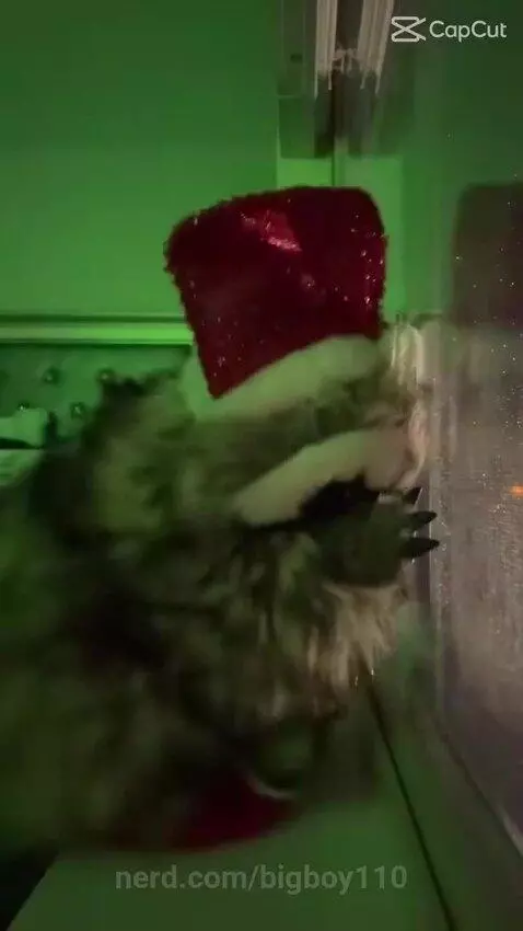 YUZZZZZ by bigboy110