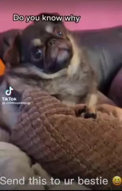 ✨Send this to your friend ✨ by mabel-1-fan