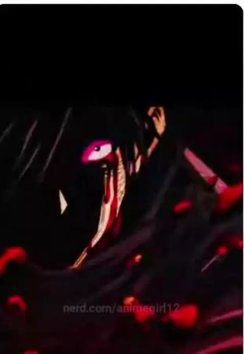 Video by animegirl12