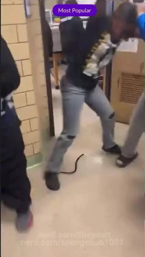 POV: me fighting in school by spongebob1001