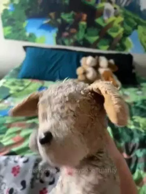 Video by futilehypocellularity