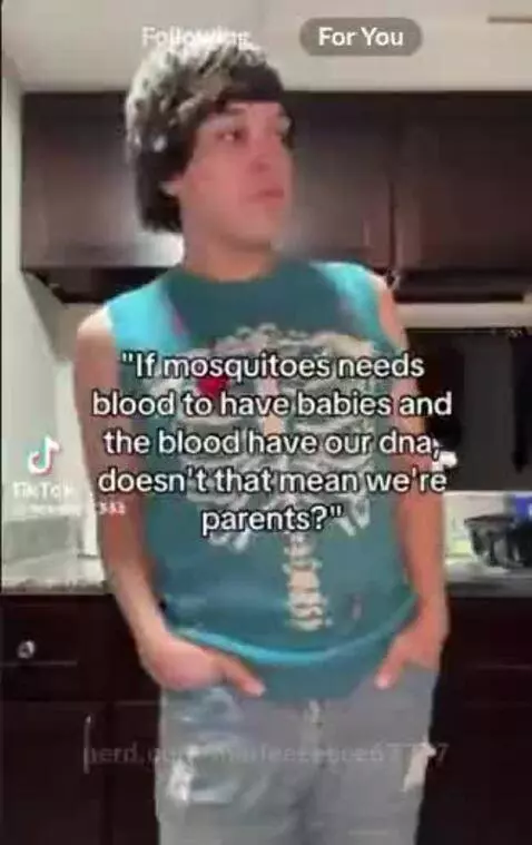 WAIT,,,,,,,,,, Im so proud of my mosquitoe kids...🤣 💀 credit... by marieeeeeee67777