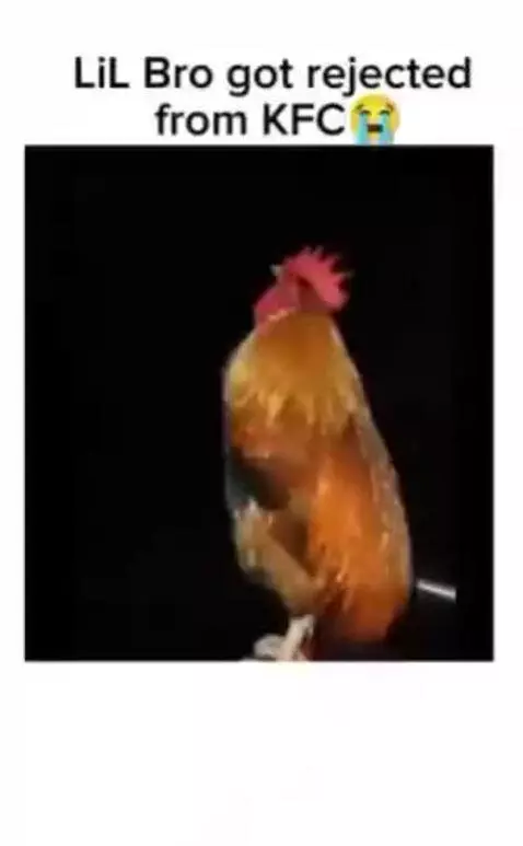 poor thing.........💀🤣....credits to @bigboy110 by marieeeeeee67777