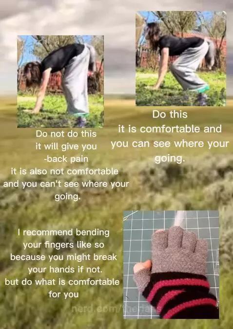 Your form when doing quads by therians