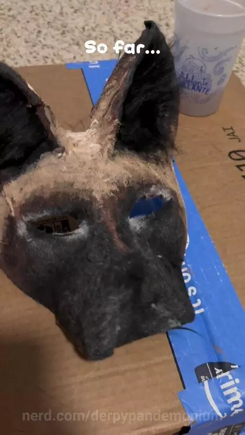 Video by derpypandemonium