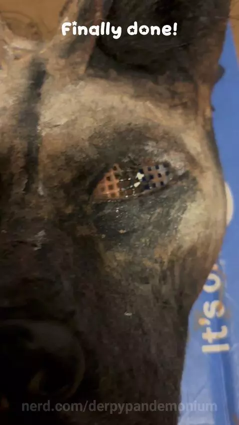 Video by derpypandemonium