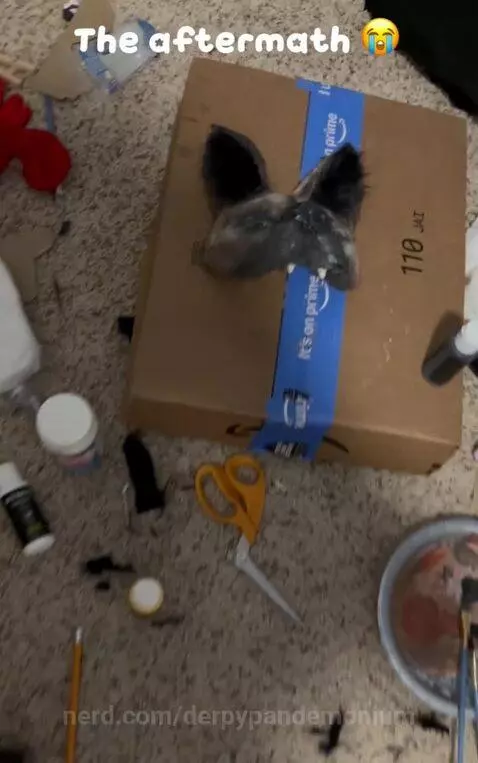 Video by derpypandemonium