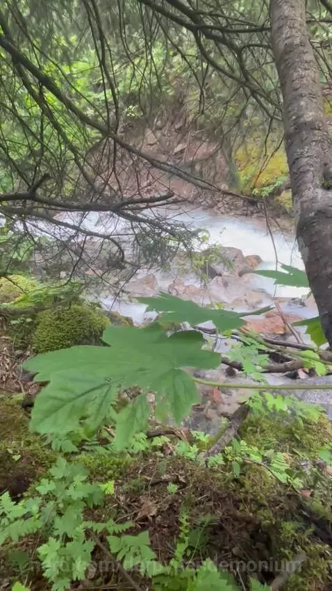 Some more white noise by derpypandemonium