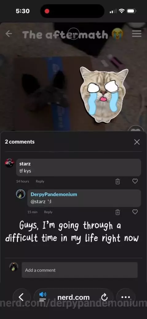 Video by derpypandemonium