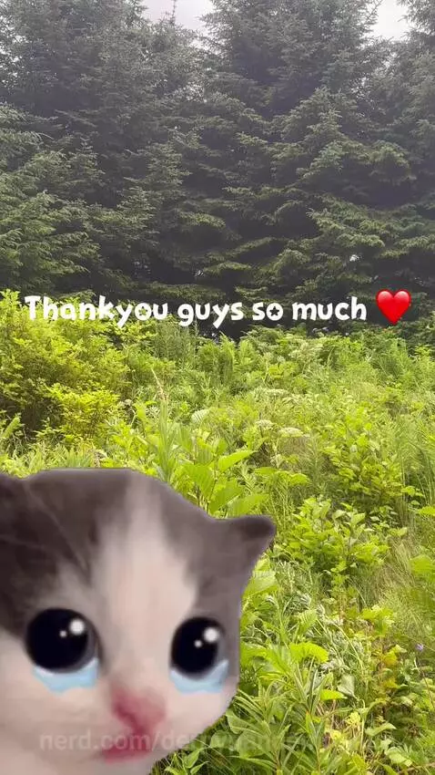 Video by derpypandemonium