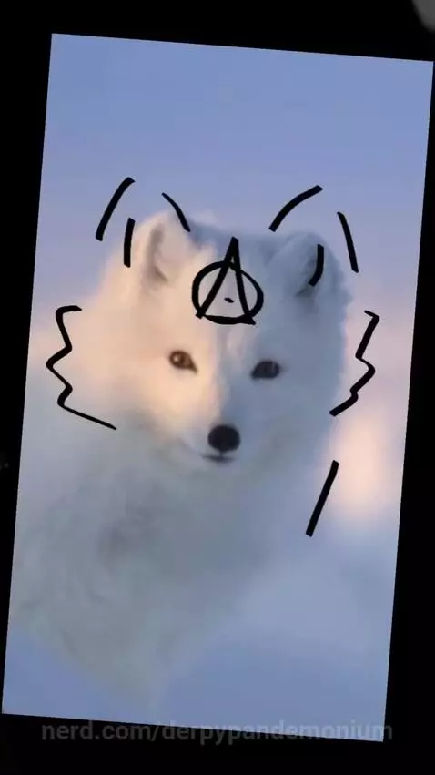 Video by derpypandemonium