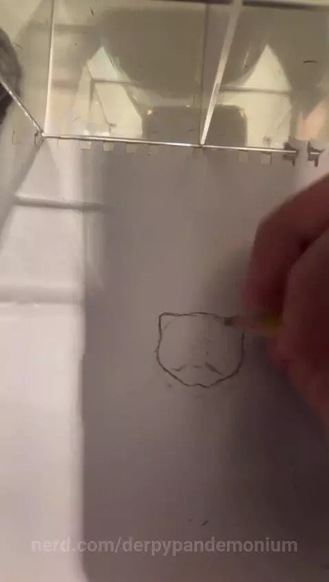 Video by derpypandemonium