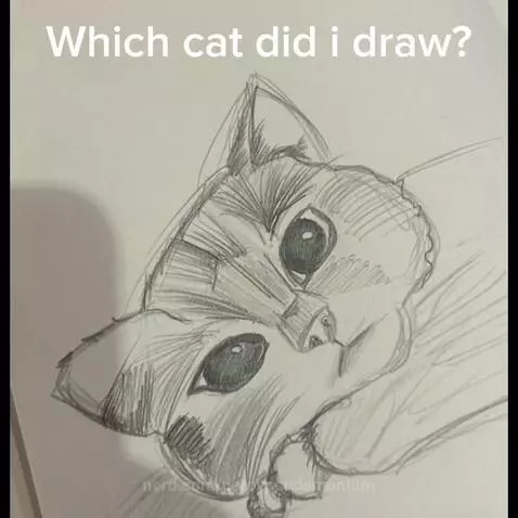 Video by derpypandemonium