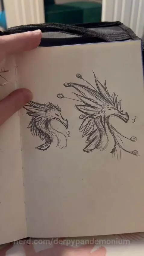 Video by derpypandemonium