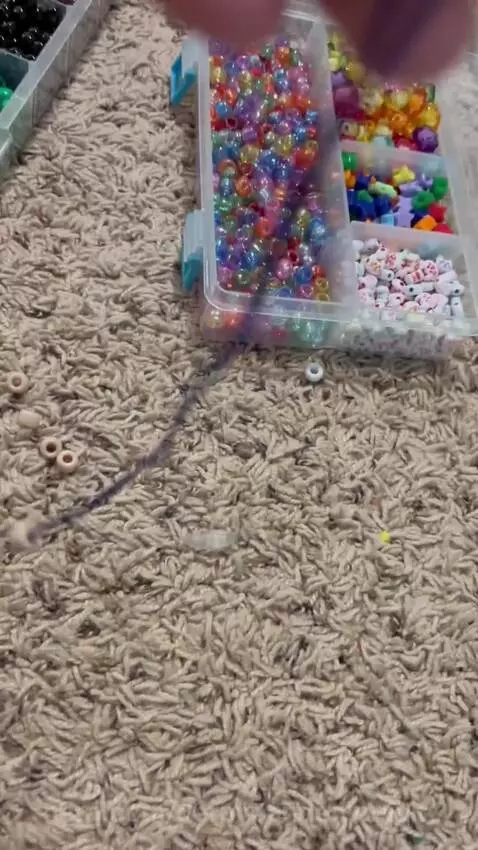 Video by derpypandemonium