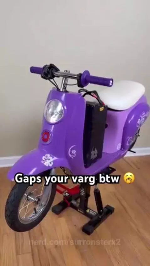 Bring it on. by surronsterx2