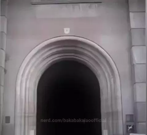 Video by bakabakalaoofficial