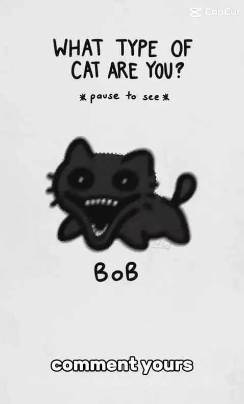 Video by bakabakalaoofficial