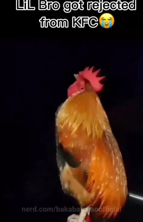 Video by bakabakalaoofficial