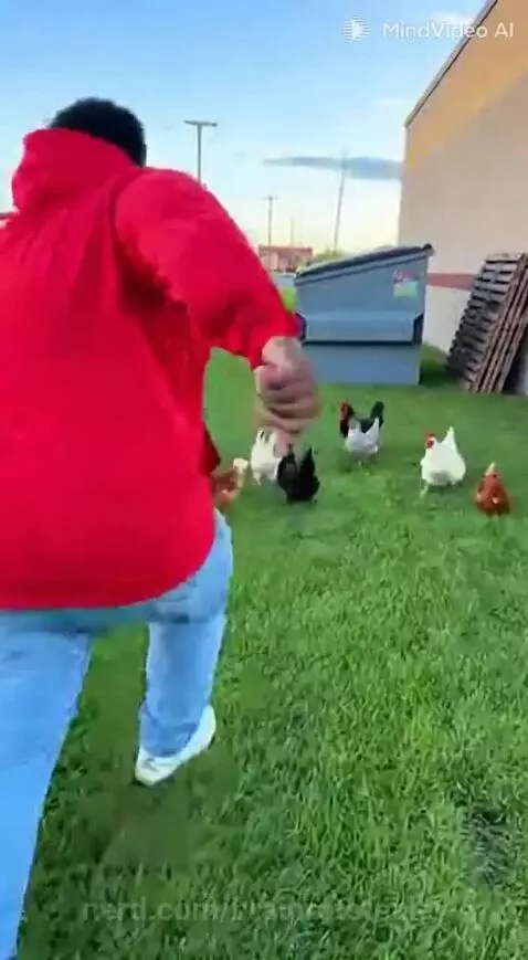 SERVE THE BALL by brainrotstealer