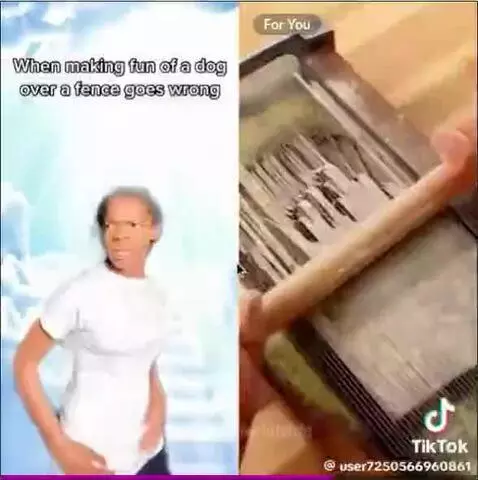 dawg chill by jwrldfolife