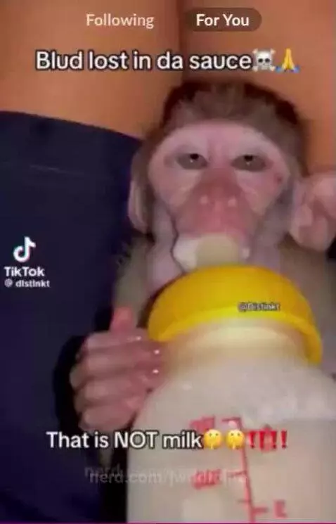 Video by jwrldfolife