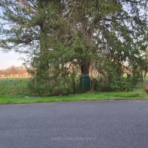 Pov my basketball skills by zoeyryan2