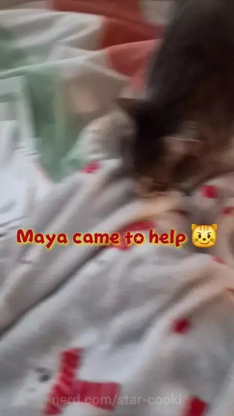 Made this a while ago hehe by star-cooki